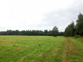 Участки по Дмитровке – сохранят Ваше здоровье и приумножат капитал Участки по Дмитровке – сохранят Ваше здоровье и приумножат капитал