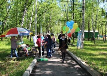 В Свободном открыли обновленный горпарк В Свободном открыли обновленный горпарк