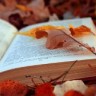 ВЕХИ И ВЁРСТЫ. Глава 348. Новые соседи - новые знакомые