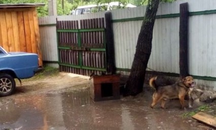 ЖИТЕЛИ СВОБОДНОГО: «РАНЬШЕ ЗАДЫХАЛИСЬ ОТ ПЫЛИ, ТЕПЕРЬ ЗАХЛЕБЫВАЕМСЯ В ГРЯЗИ»