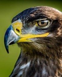 Пора менять «чудо-управленцев»… Пора менять «чудо-управленцев»…