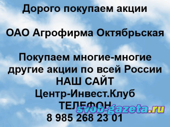 Покупаем акции ОАО Агрофирма Октябрьская